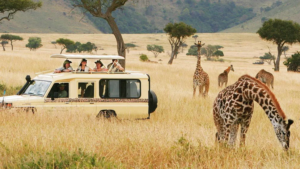 Here Are Some Trips That Are Worth Booking In Advance