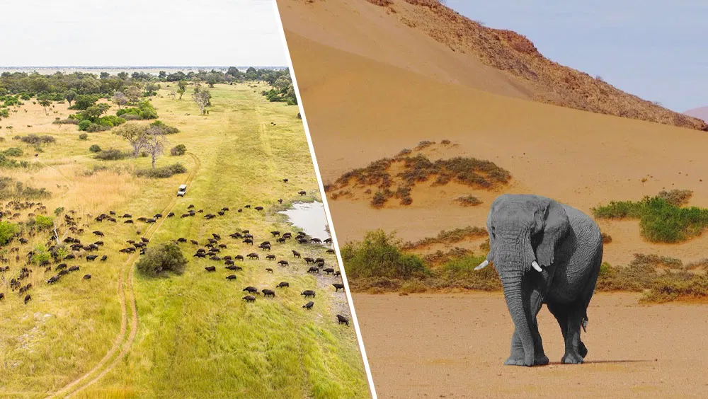 3 Top Tips for Traveling to Botswana