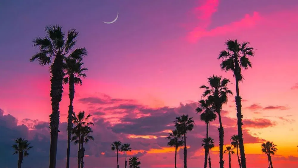 Romantic Getaway: Things to Do in San Diego for Couples