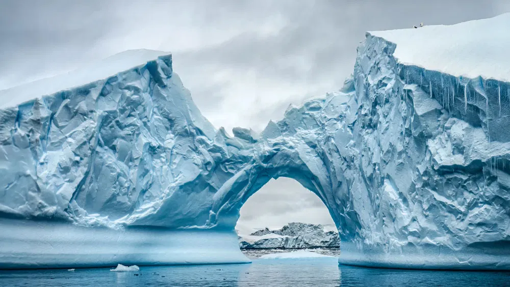 How To Visit Antarctica