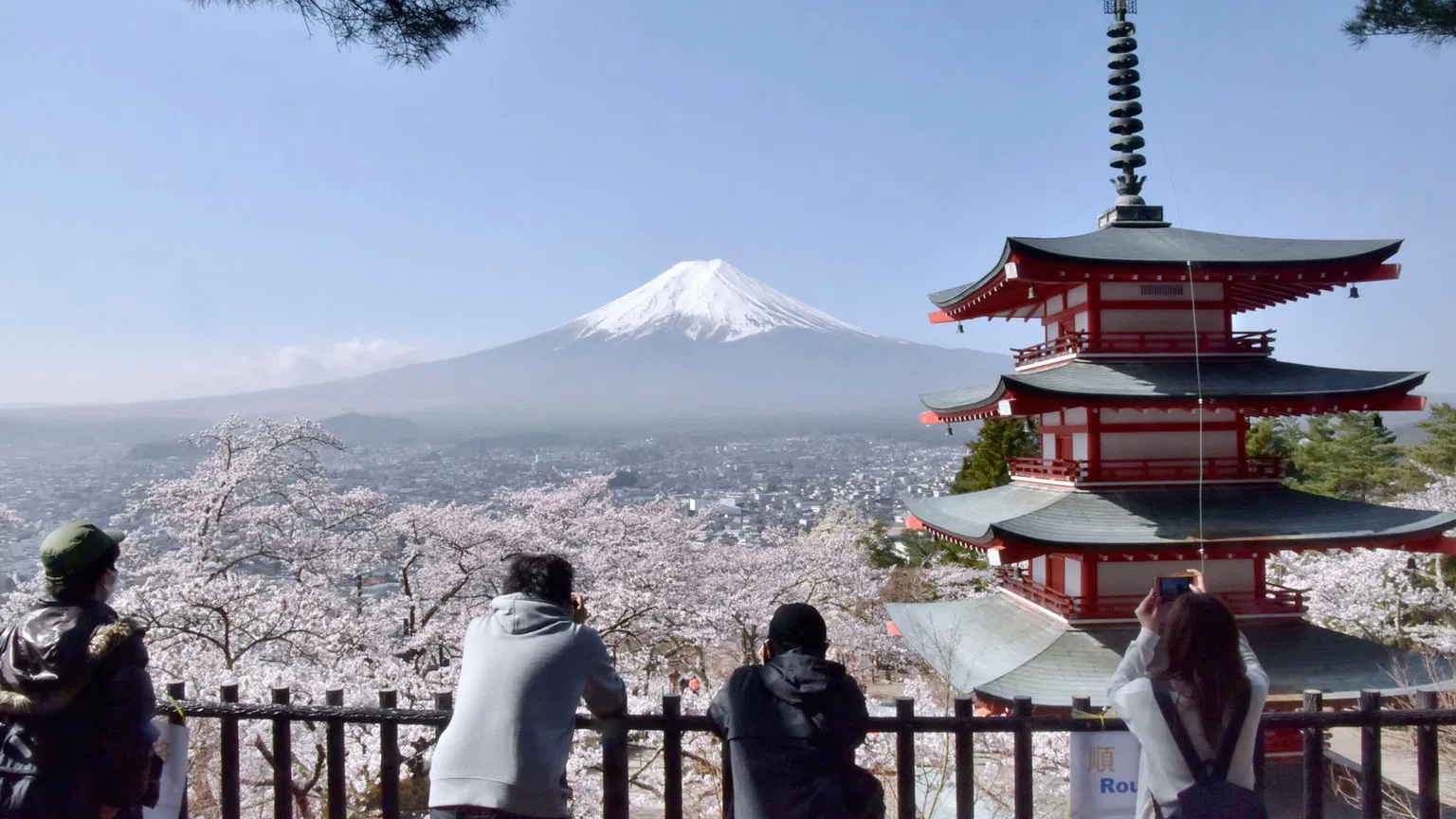 Japan Cancels Iconic Cherry Blossom Festival Amid Overtourism Crisis