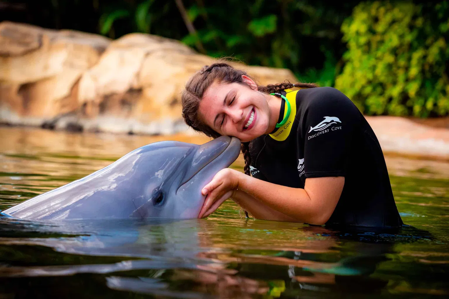 Discovery Cove Orlando: Complete 2026 Guide to the All-Inclusive Paradise