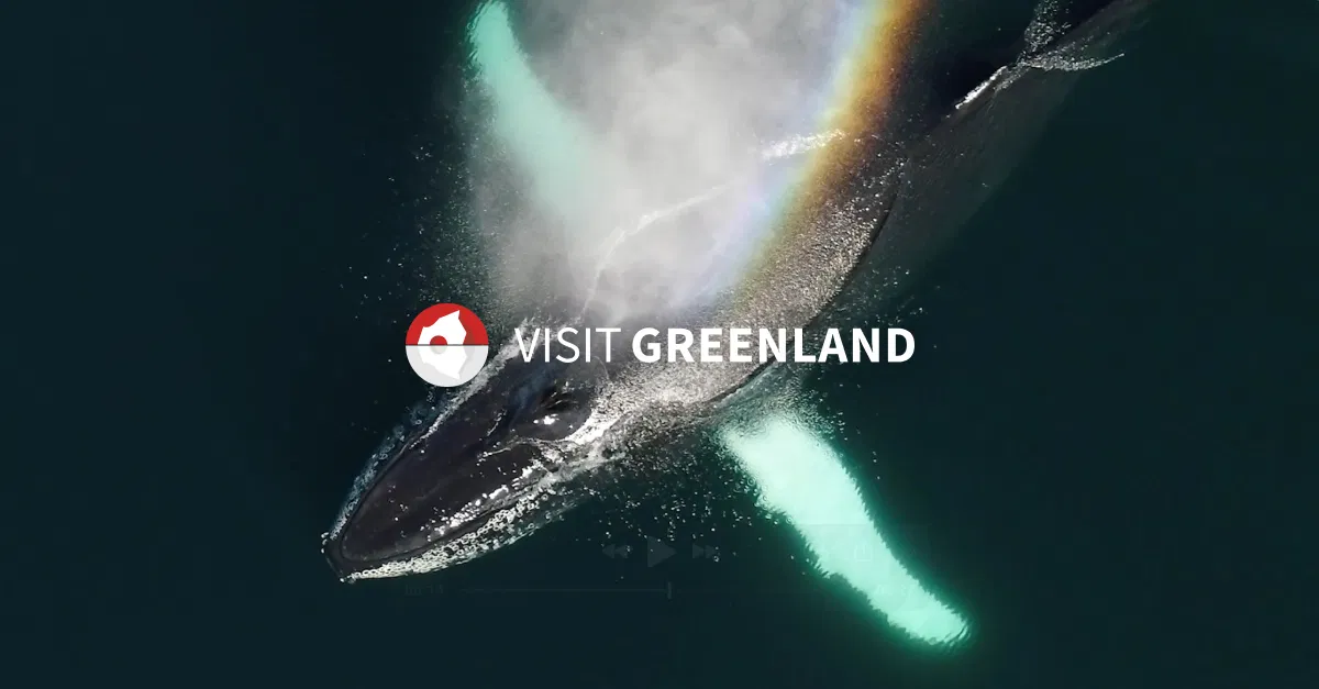 Greenland Travel Guide: Icebergs, Northern Lights & More