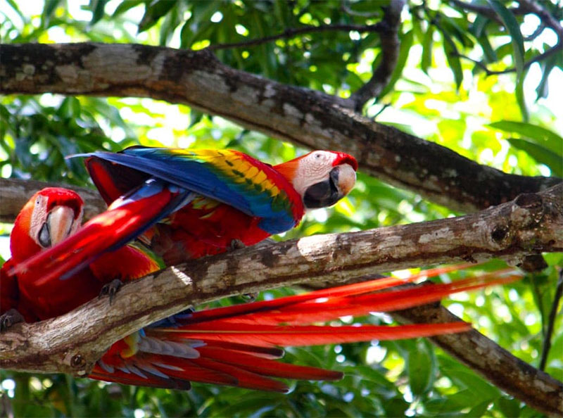 Costa Rica