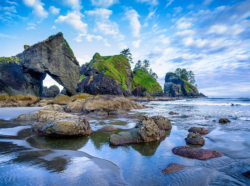 Olympic National Park  Washington