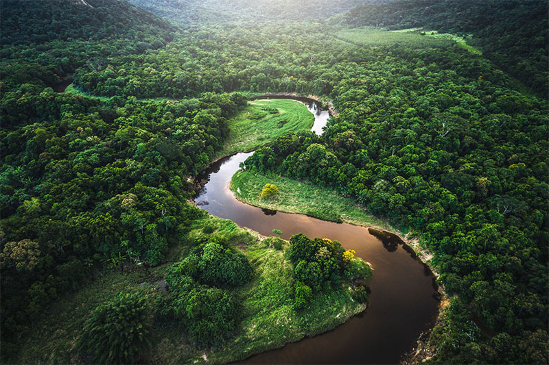 Amazon River and Rainforest