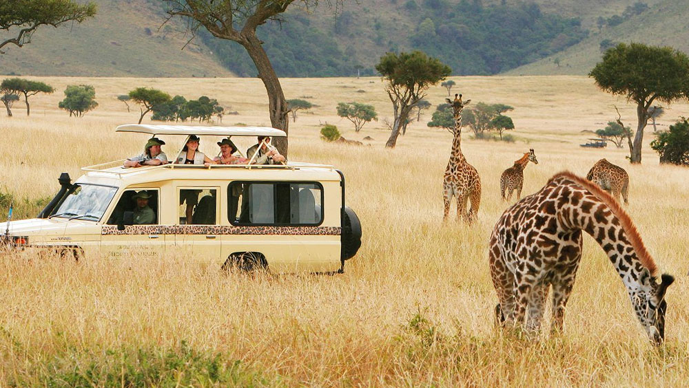 Here Are Some Trips That Are Worth Booking In Advance