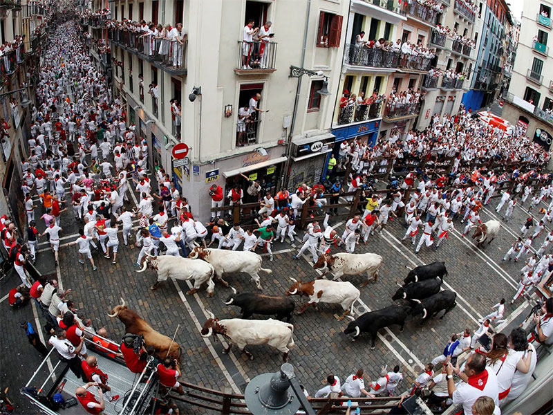Running of the Bulls Spain