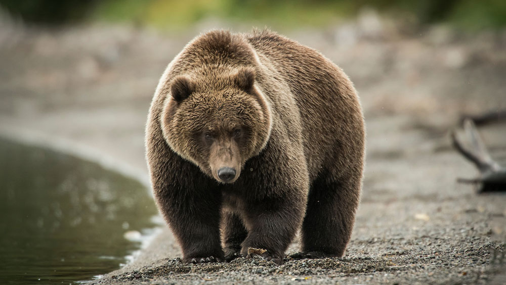 Three Top Travel Tips for Wildlife and Zoo Visitors
