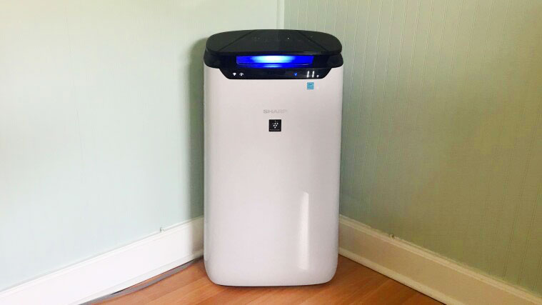 Look for Efficient Particle Removal and UV Lights