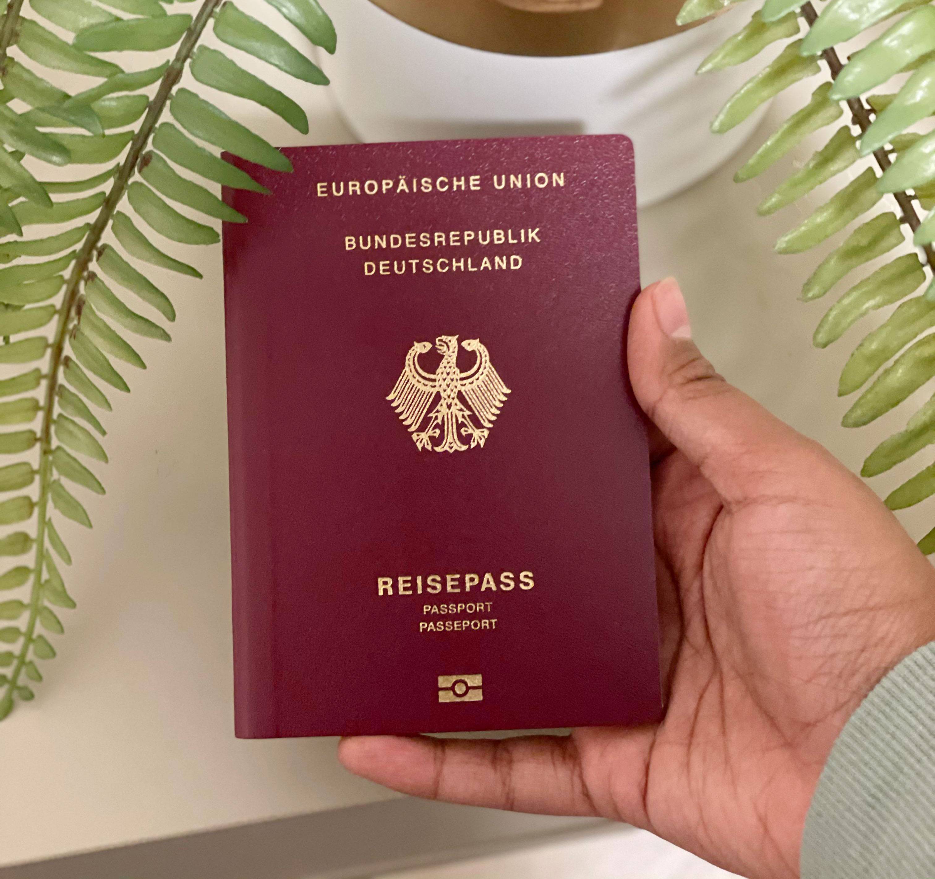 The 4 Runner UPS of the World s Most Powerful Passports 1