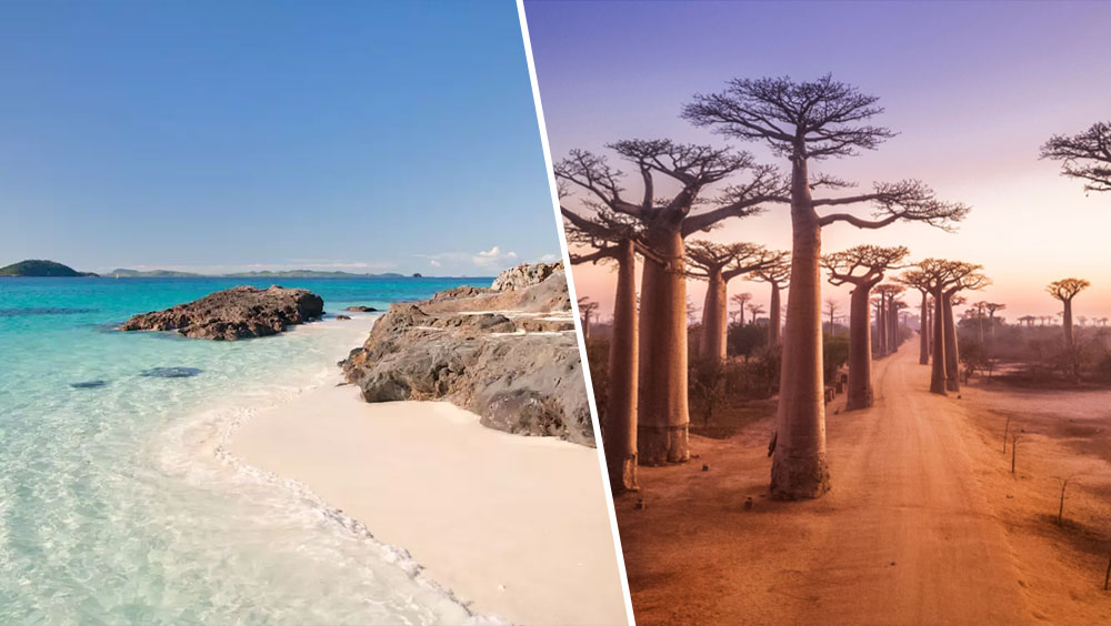 Fall in Love With Madagascar: Top 5 Reasons to Visit