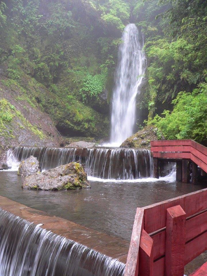 Termas Geometricas