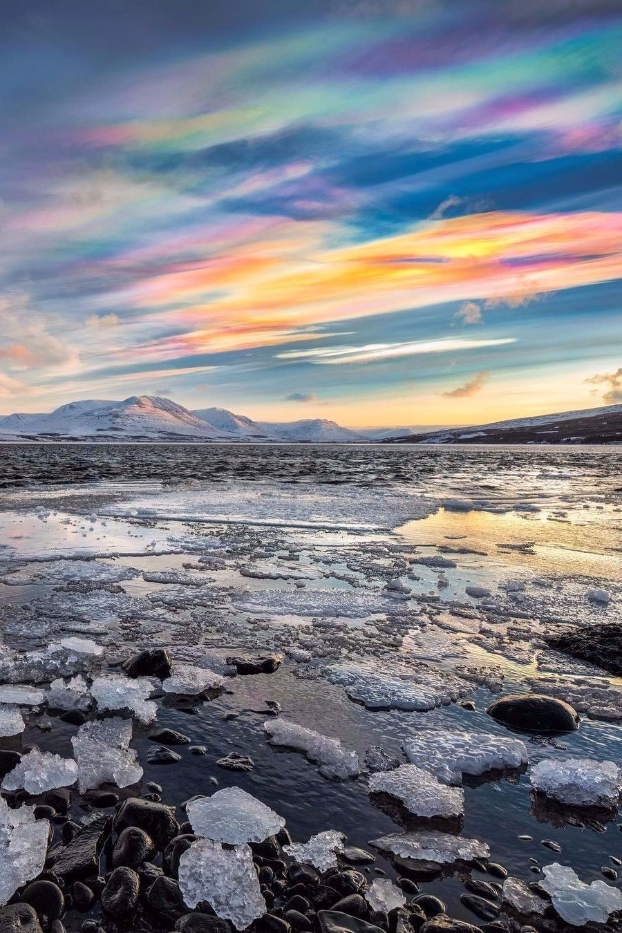 Polar Stratospheric Clouds