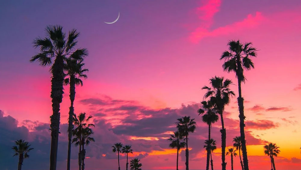 Romantic Getaway: Things to Do in San Diego for Couples