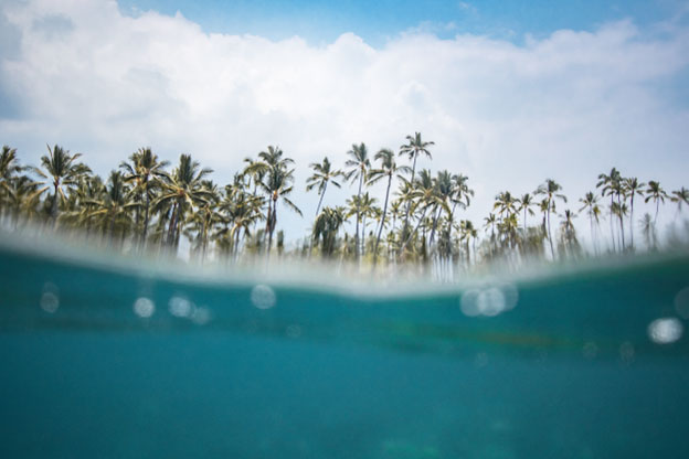 Beach essentials like towels