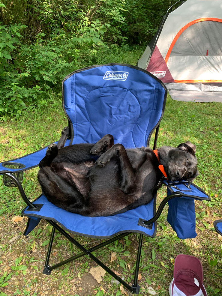 Camping Life 22