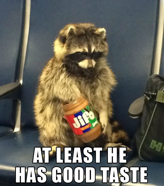 AT LEAST HE HAS GOOD TASTE