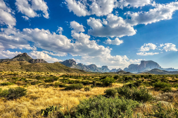 With its vast wilderness