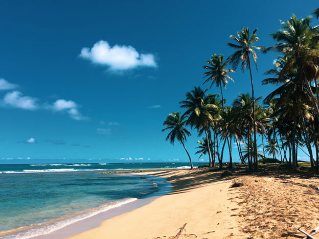 Passport Requirements for Travel to Dominican Republic