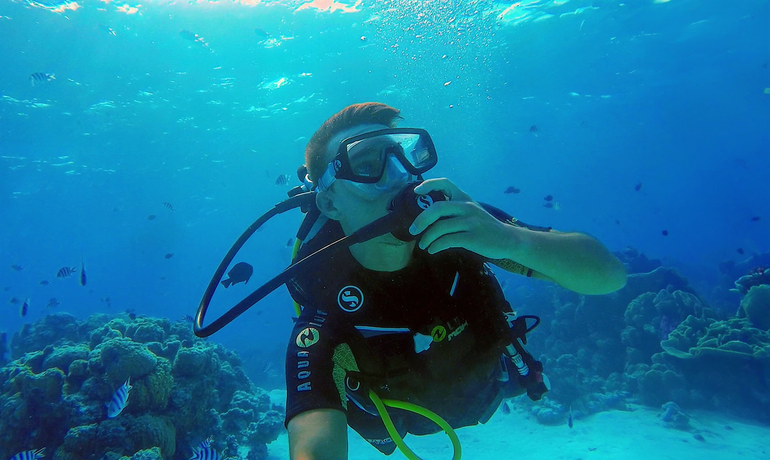 Snorkeling And Diving