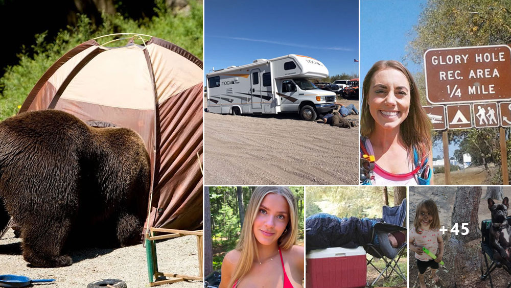 Hilarious Campers Caught On Camera