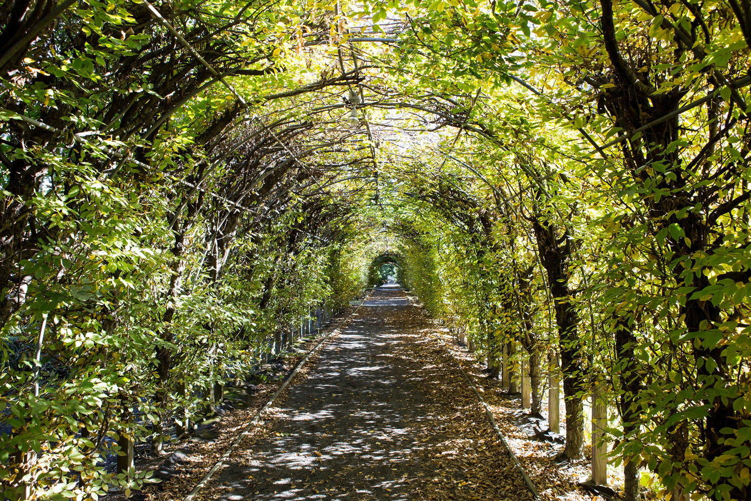 Staten Island Botanical Garden