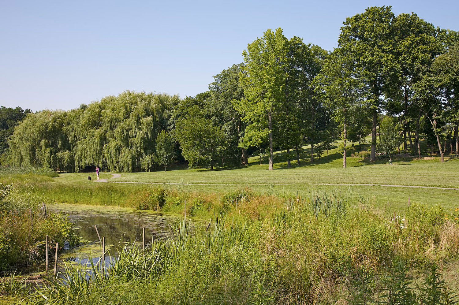 Staten Island Greenbelt