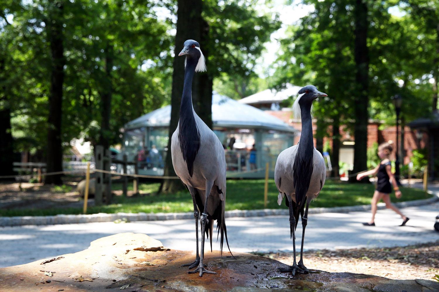 Staten Island Zoo