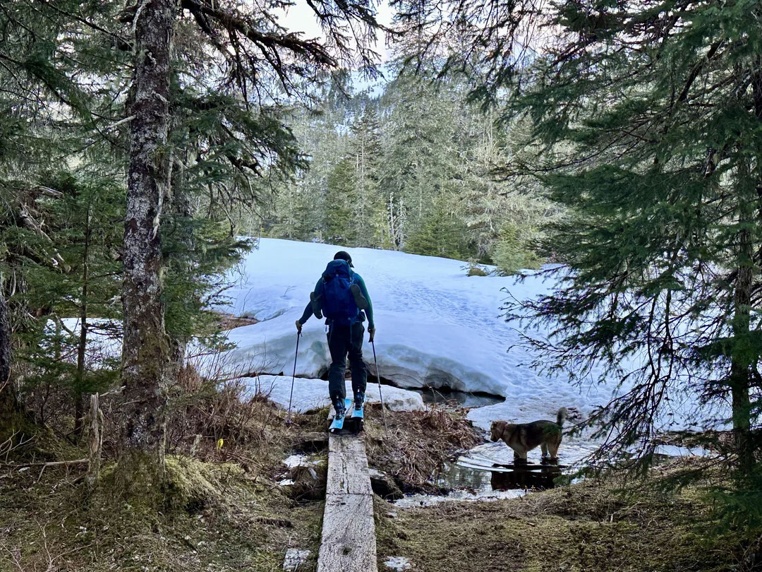 April To May SpringtimeIn Alaska