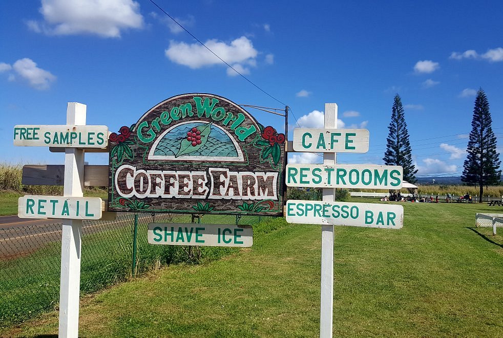 Coffee Farm 1