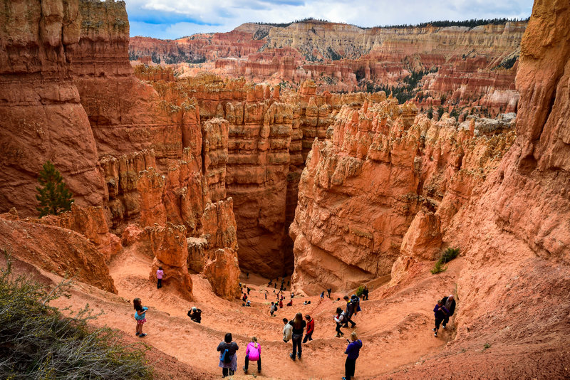 Hike The Rim Trail
