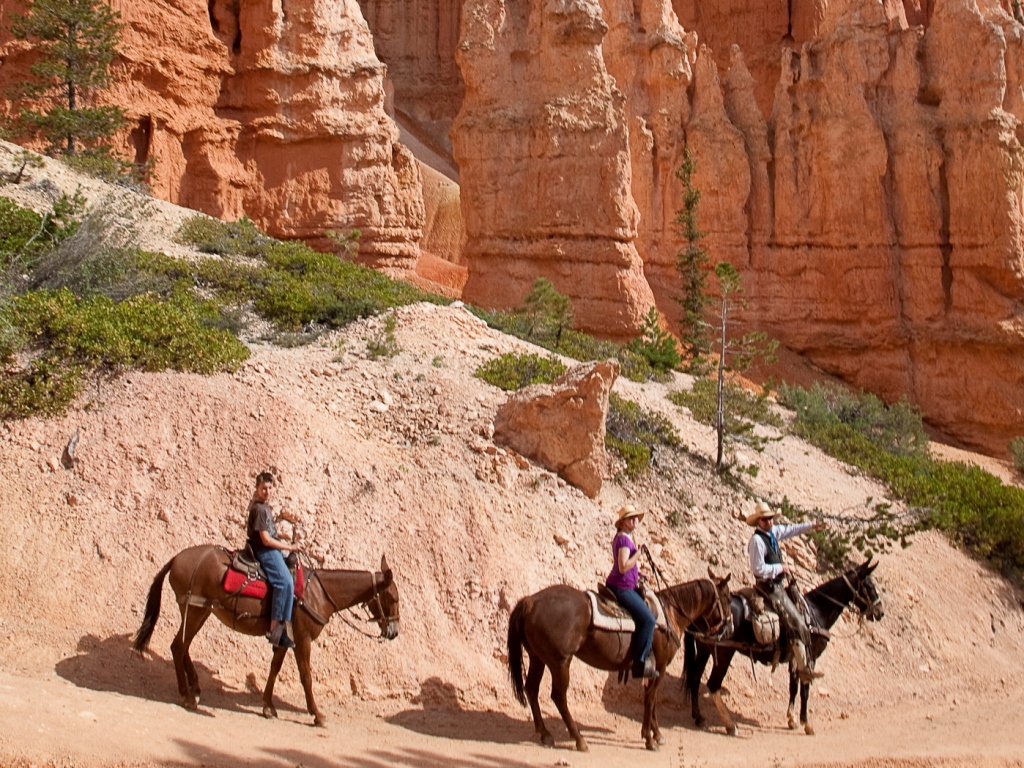 Horseback Riding Adventures