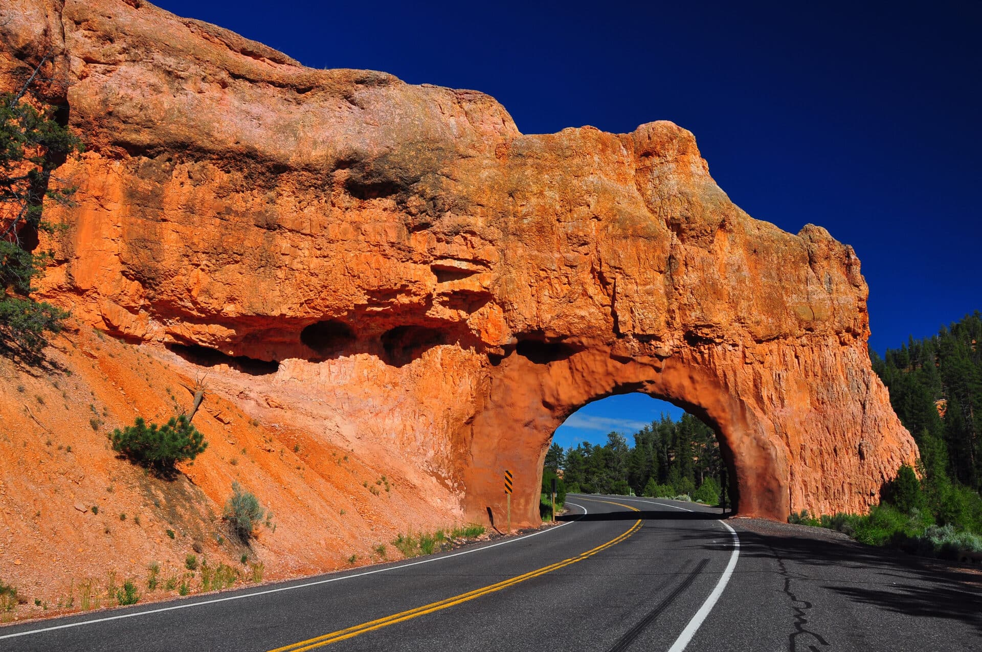 Scenic Drives