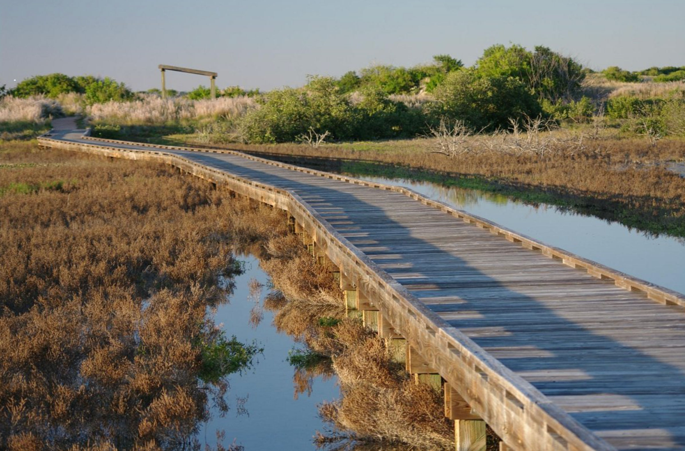 8 things to do in port aransas tx_5093cc60 3a29 4f8c b4f9 89af9a08ac8f