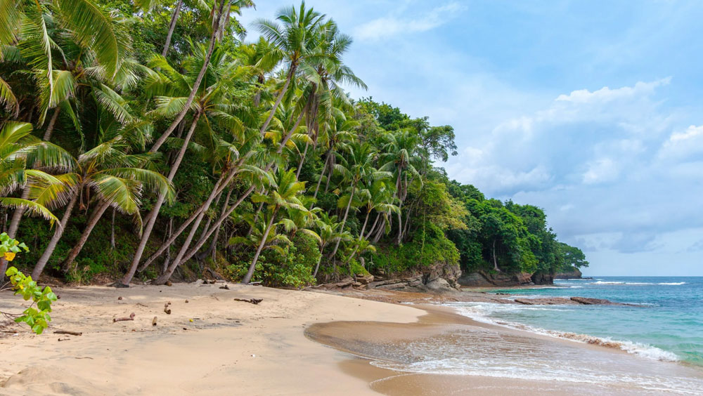 Tropical Bliss: Best Beaches to Visit in Panama