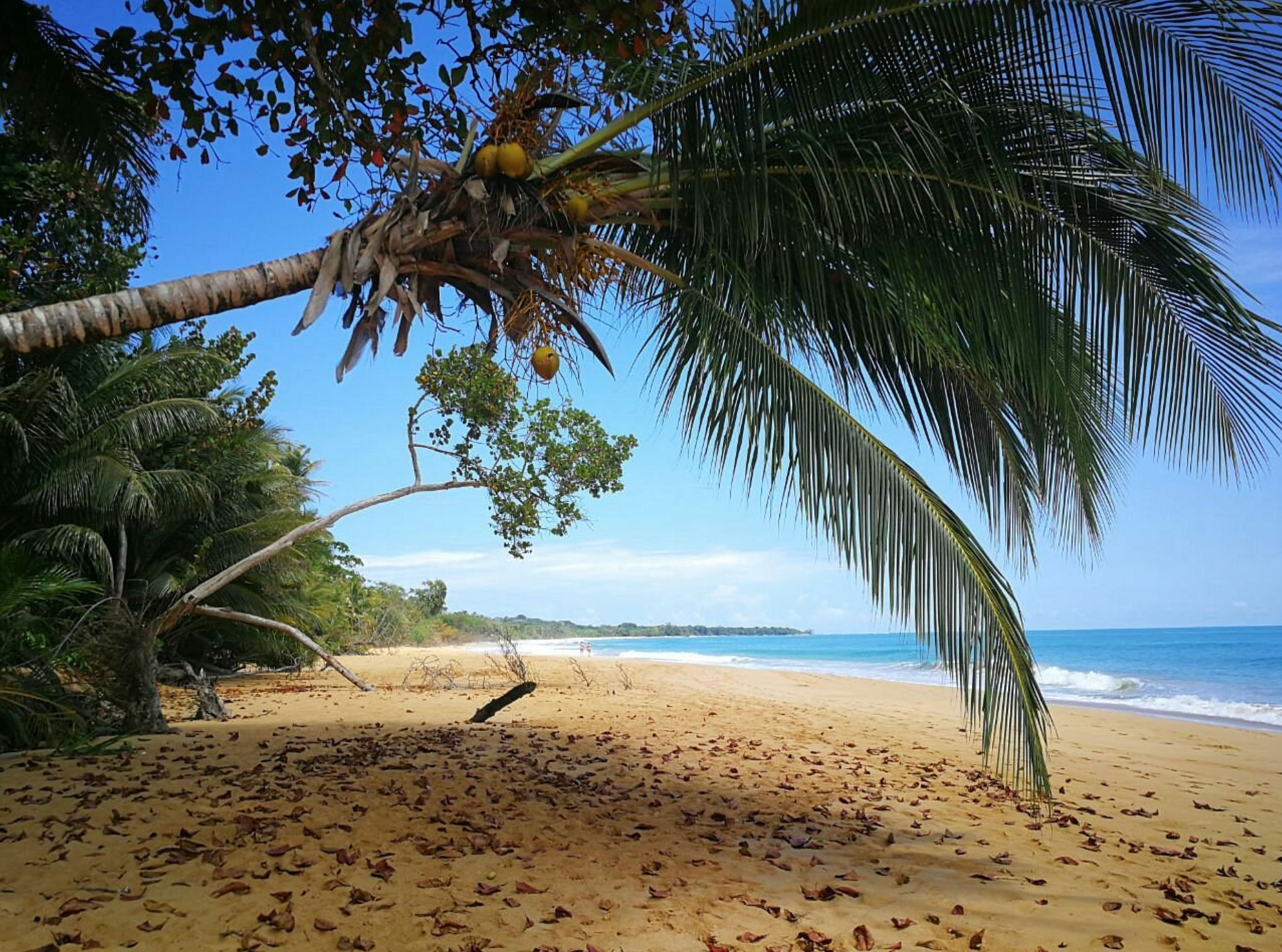 tropical bliss best beaches to visit in panama_bcd579ca 004d 45af 9728 69e95fb7e3ff