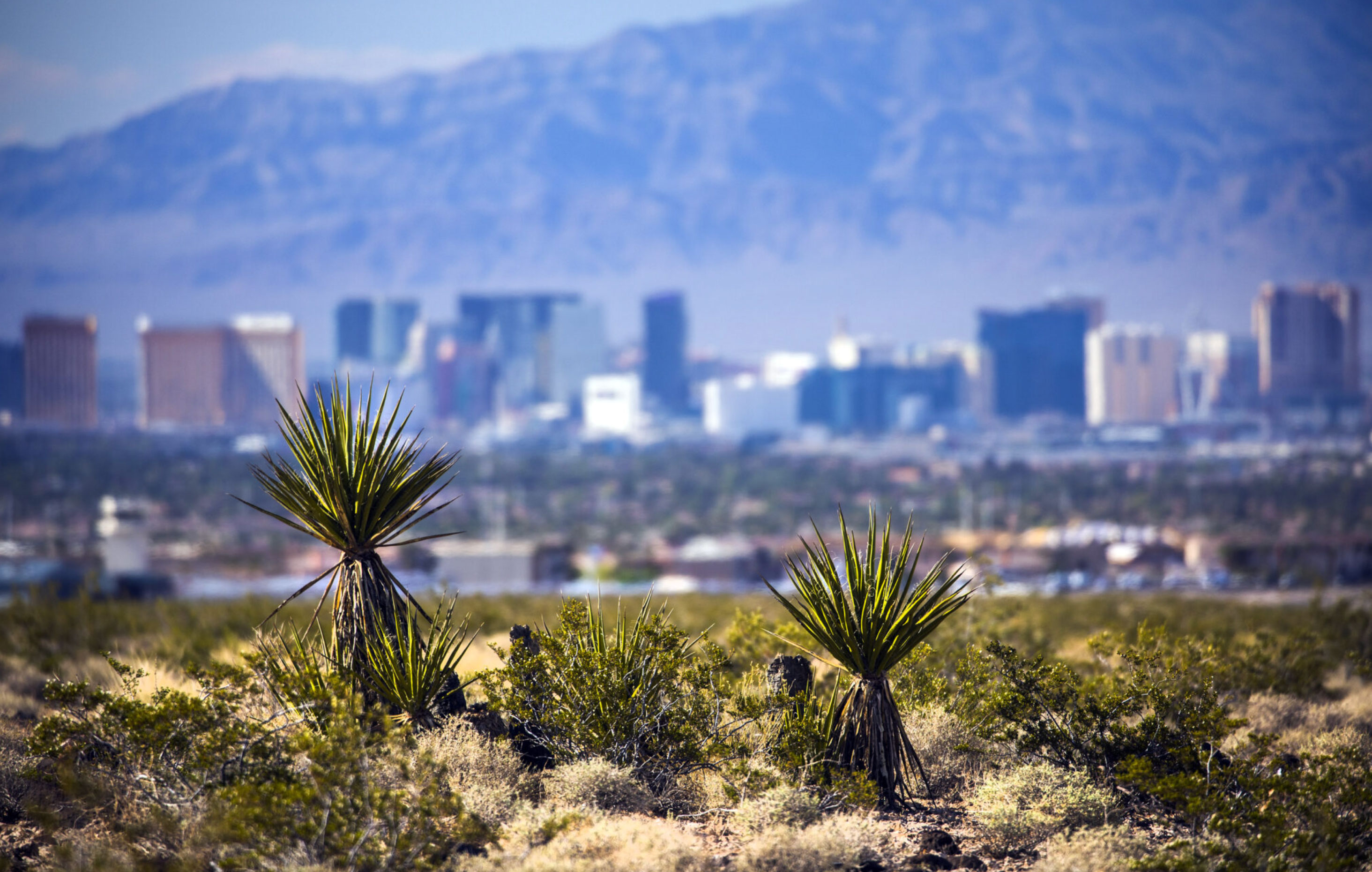 what to pack for vegas_b199d070 fb0e 4148 b196 c5f81b0d5ec4
