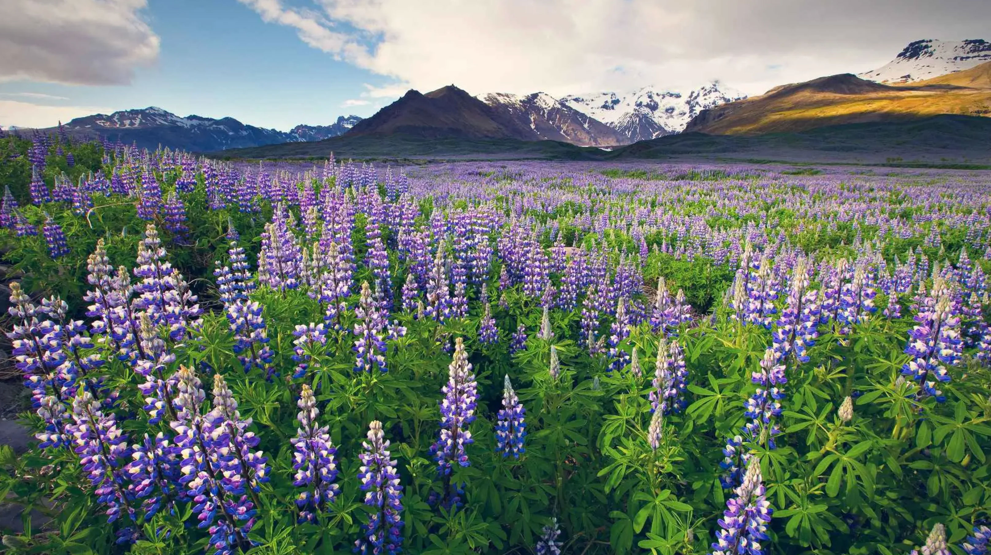 best time to visit iceland_0b9598d0 bd85 44f6 8826 39c6b871919a