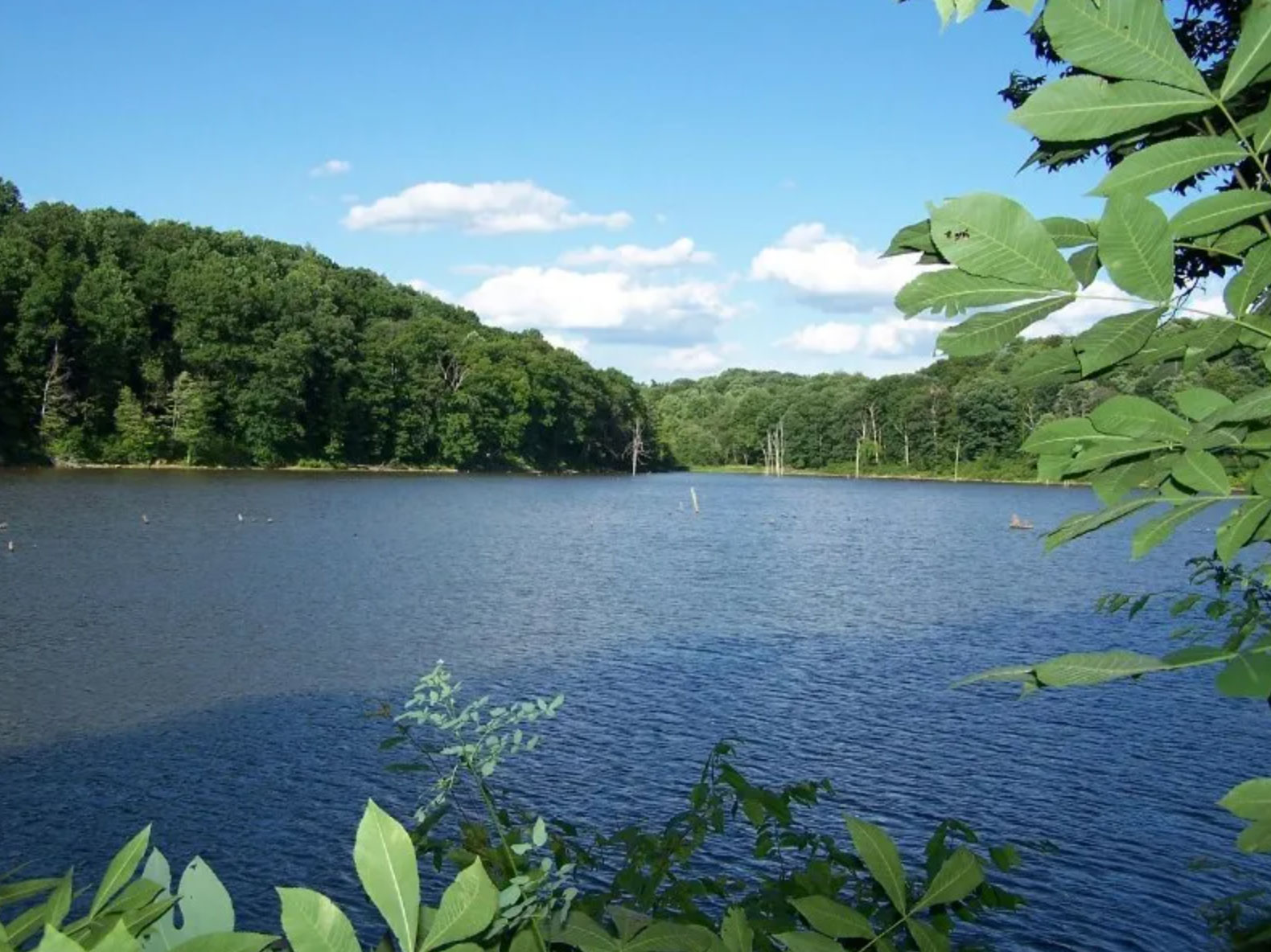 the best campgrounds in ohio_98e2b6e5 6cea 44db 95a8 9734dcb4248f