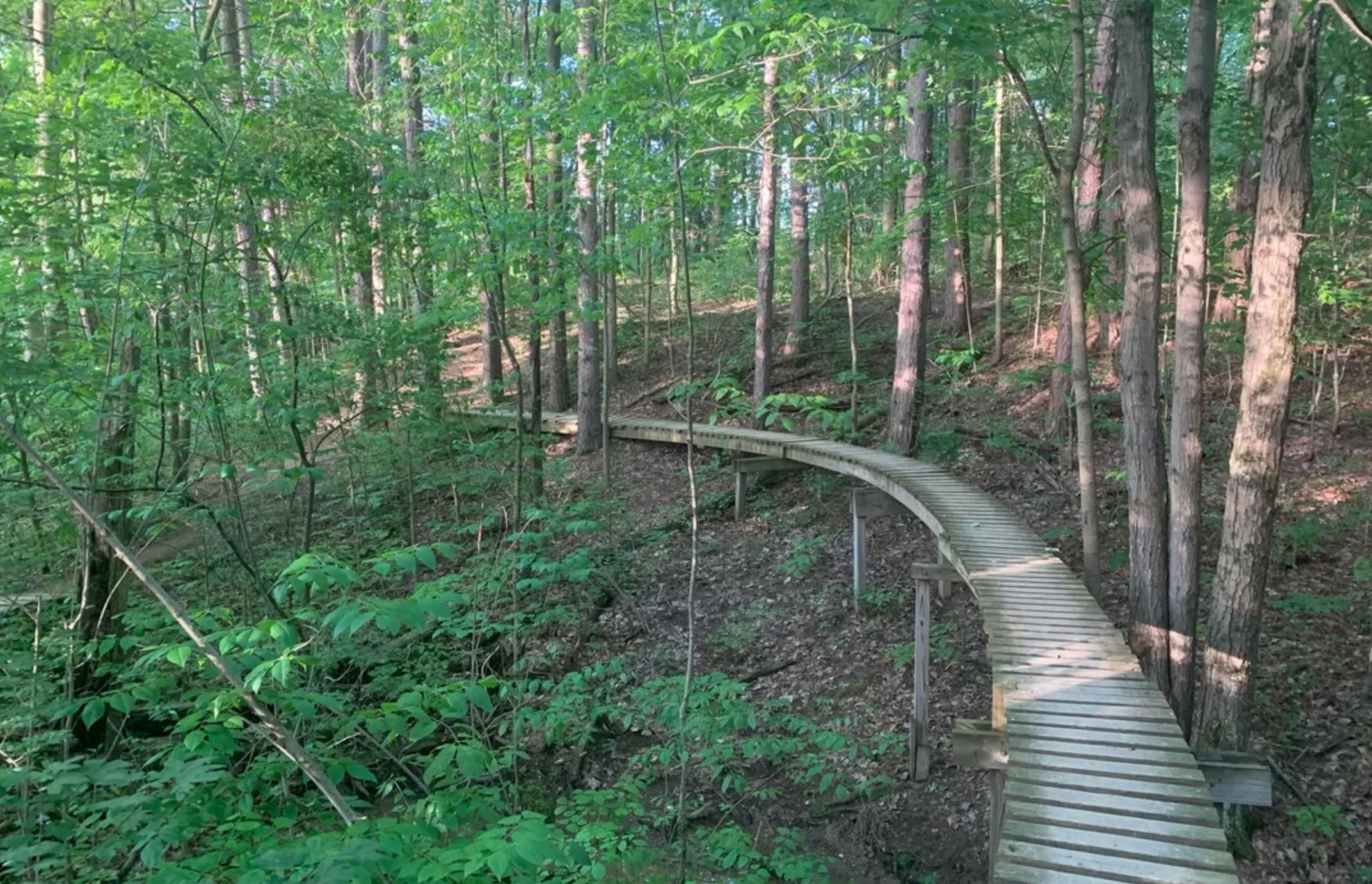 the best campgrounds in ohio_d08cbfeb 458e 45f3 b4a4 35b2ddd3fcb1