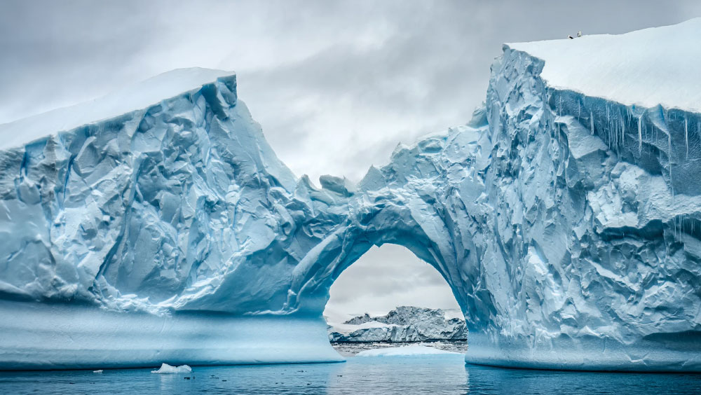 How To Visit Antarctica