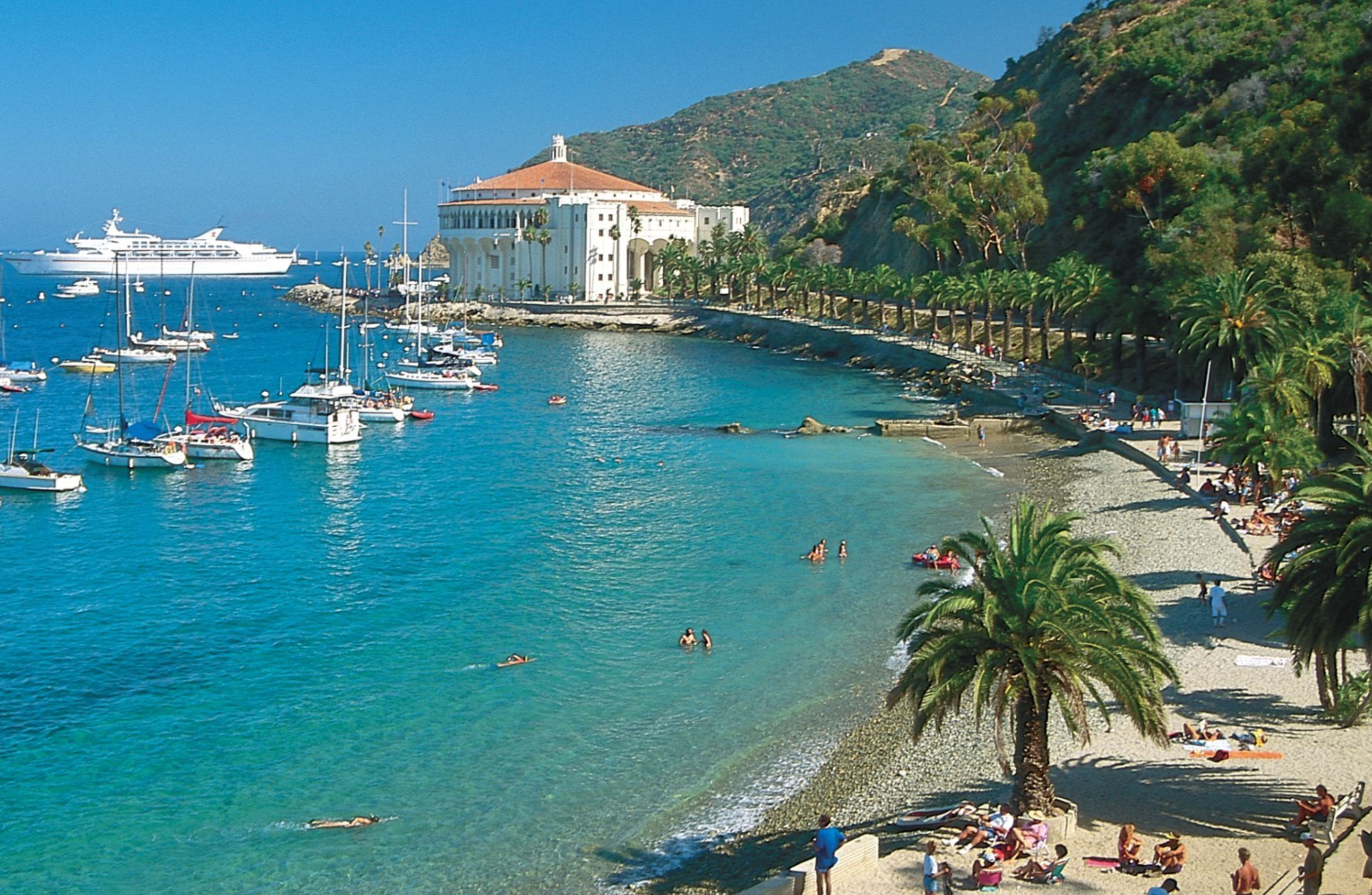 how to get to catalina island_259bfaab 2479 41f6 abbe b3cf75562c4c