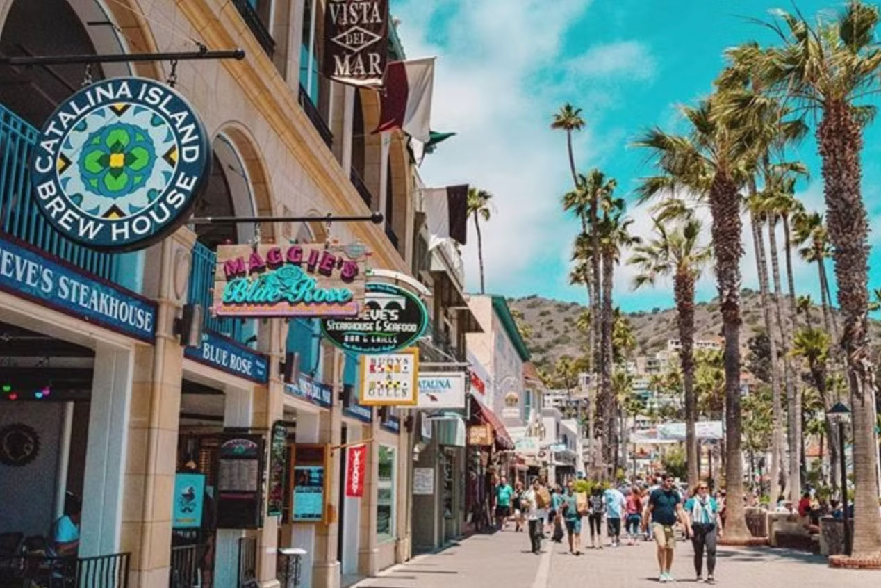 how to get to catalina island_44e250d5 5344 43e8 bc22 7813856f6217
