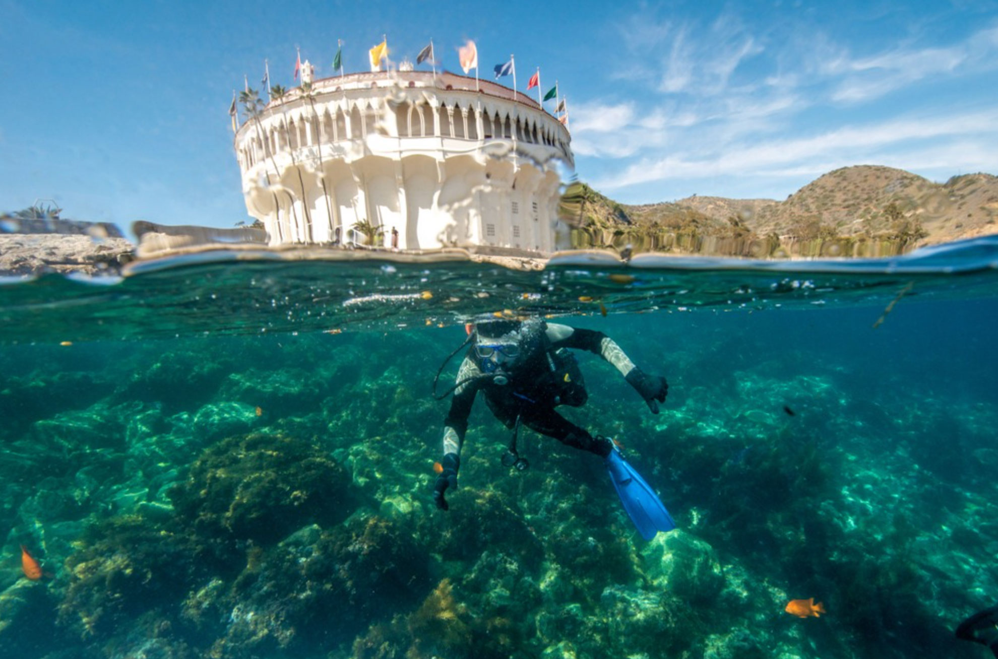 how to get to catalina island_46b9e8d8 586a 4ffb 97a1 50da5c0349ab