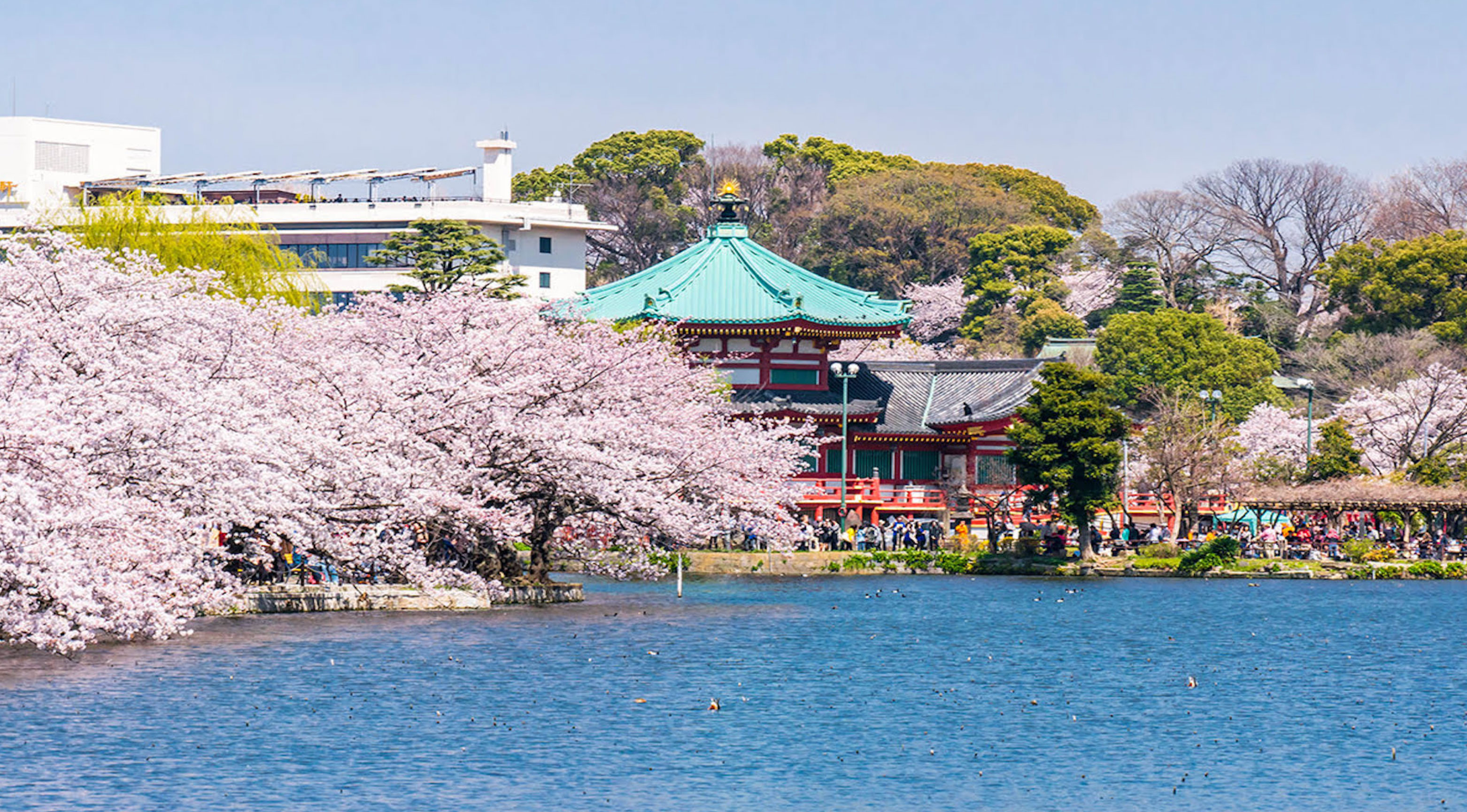 best places to stay in tokyo_24228044 d6e8 4cf0 a257 a277bfe50f13