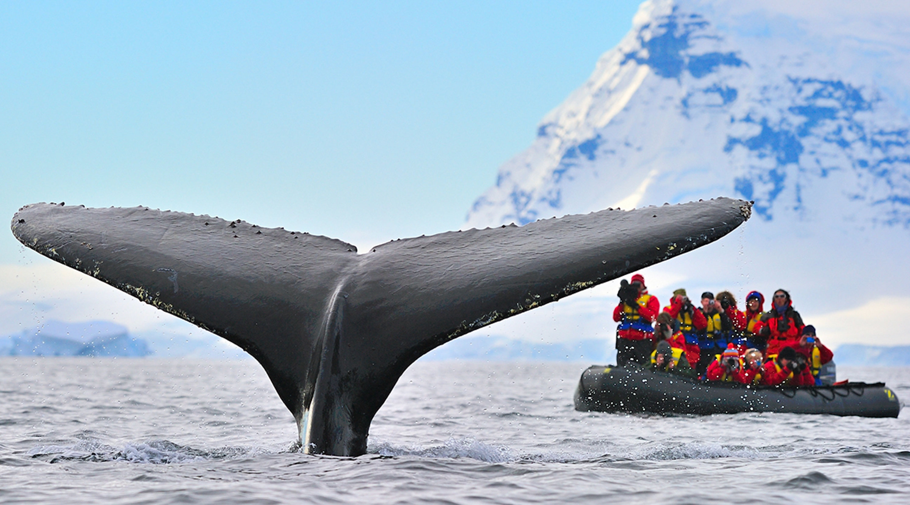 travel to antarctica guide_5cf9c2ee 429e 41f6 8f9a 137024435576