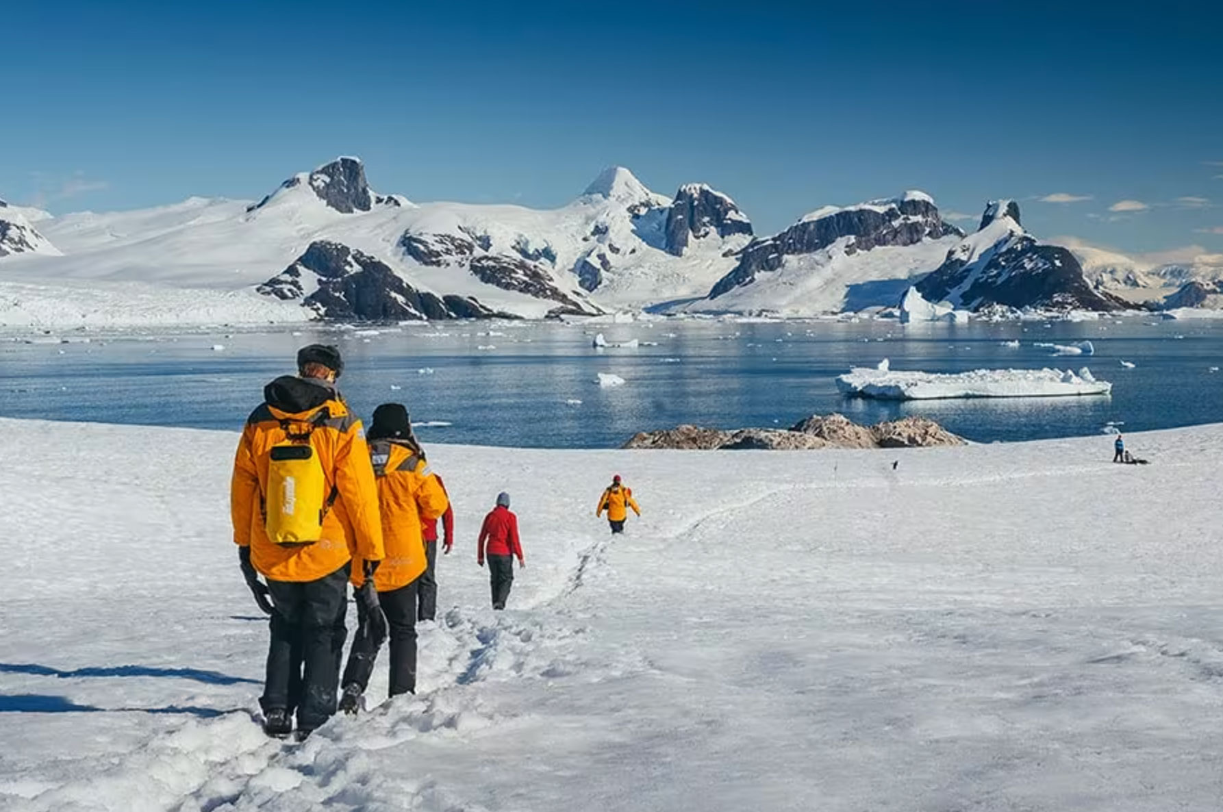 travel to antarctica guide_7aee9d64 a0a5 44c3 8f33 26ef2fb96cd1