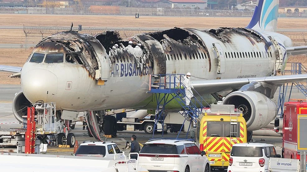 1765906372204_d6ede359 2ad5 4abf ba56 12314cce0ff2 PYH2025013103740005100