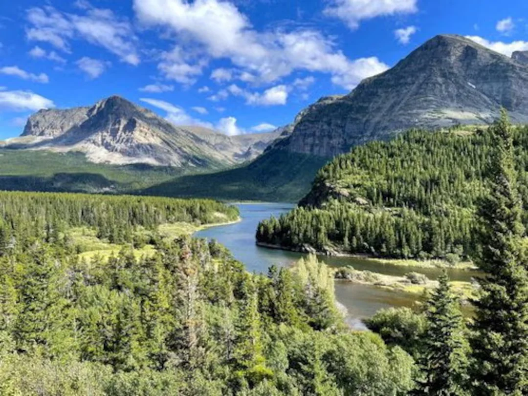 1768059195268_SM7LNQE6SNLHJF6EZ765NJQLVU